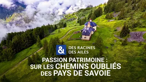 Savoie, ces chemins oubliés qui racontent une autre histoire des Alpes (Des racines & des ailes)