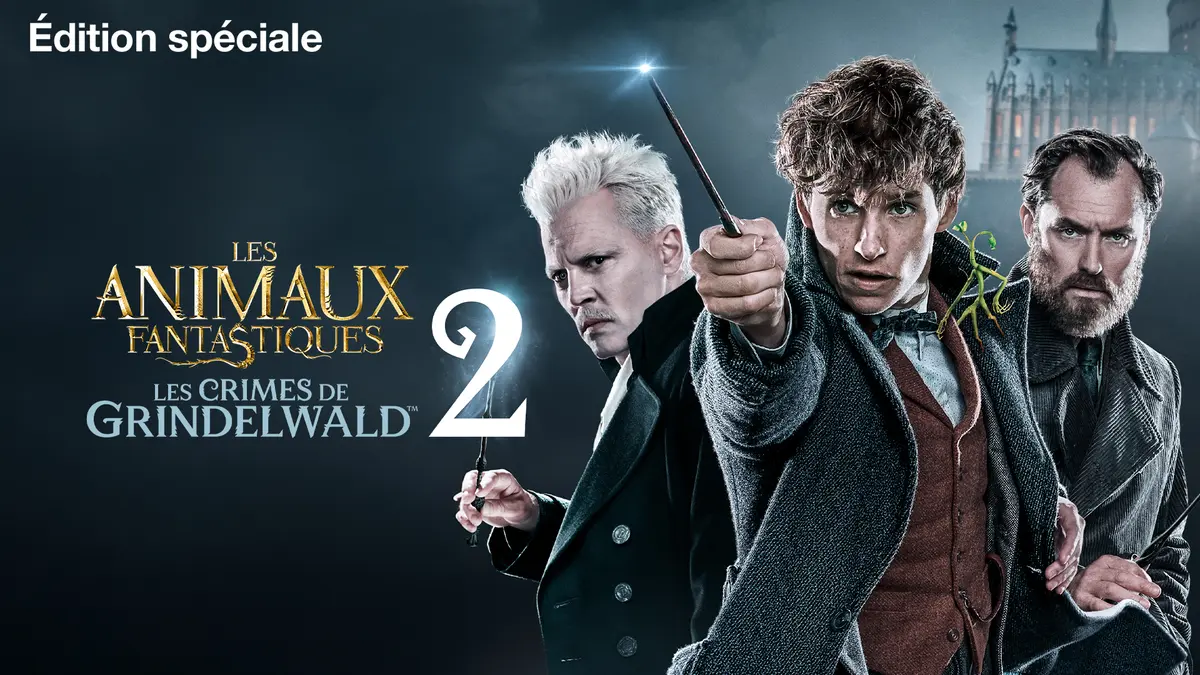 Programme TV du mardi 17 février 2026 : notre sélection pour votre soirée télé