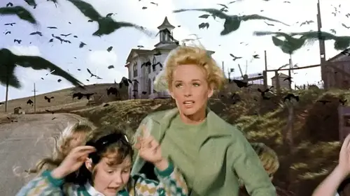 Les Oiseaux : pourquoi le film d’Hitchcock fascine toujours