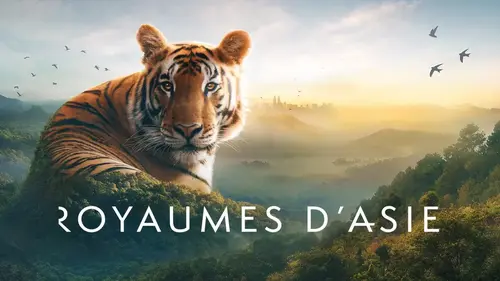 Royaumes d’Asie : une immersion spectaculaire entre jungles, sommets himalayens et mégapoles