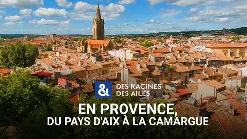Des racines & des ailes : un voyage inédit en Provence entre artisans et patrimoine