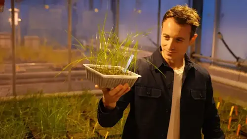 Sur le front (France 5) : pourquoi la France n’arrive pas à réduire leur usage