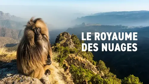 Le Royaume des nuages sur France 5 : immersion au cœur du parc du Simien en Éthiopie