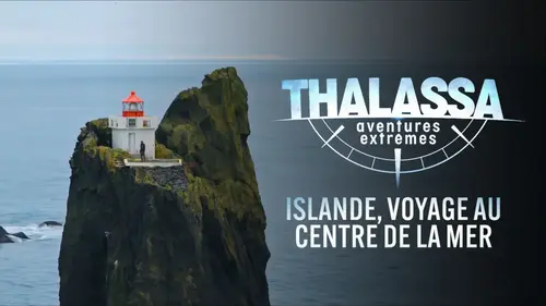 Thalassa sur France 5 : Diego Buñuel explore une Islande entre volcans et glaciers