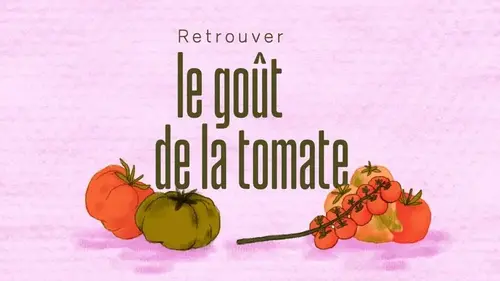 On va déguster sur France 5 : François-Régis Gaudry à la recherche du vrai goût de la tomate