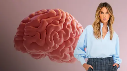Zone interdite : écrans, sommeil, sucre… ce que révèle l’enquête sur notre cerveau