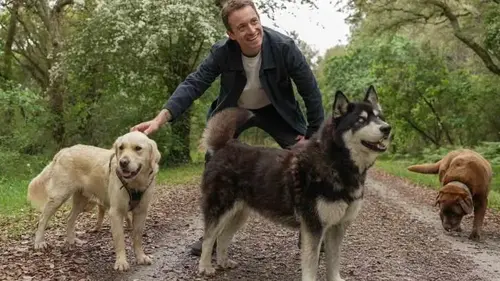 Sur le front décrypte les conséquences de la sélection canine et des chiens à la mode