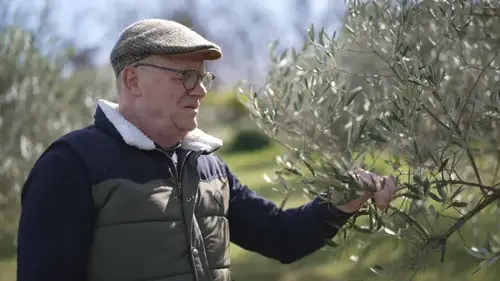 Enquête de santé sur France 5 : les bienfaits concrets de la nature sur notre santé expliqués