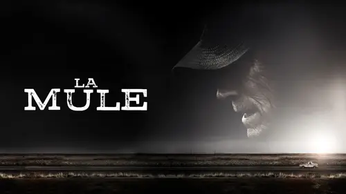 Programme TV du jeudi 28 mai 2026 : notre sélection pour votre soirée télé