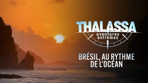 Thalassa : cap sur le Brésil et ses rivages fascinants avec Diego Buñuel