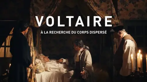 Où repose vraiment Voltaire ? Une enquête troublante sur ses restes dispersés