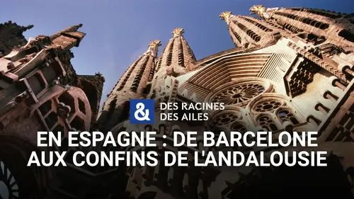 Des racines et des ailes : Gaudí, la Sagrada Família et les trésors d’Andalousie