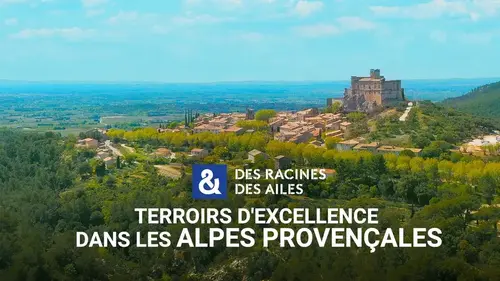 Des racines & des ailes sur France 3 : immersion au cœur des Alpes provençales