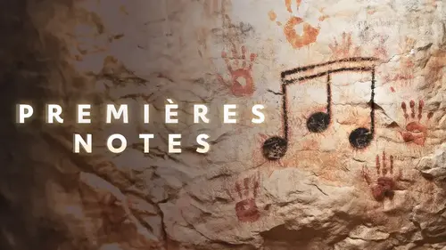 Aux origines de la musique : un fascinant voyage sur France 5