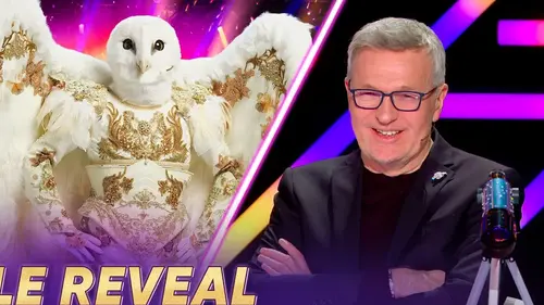 Mask Singer 2026 : qui étaient la Vénitienne, la Chouette et le Gorille (vendredi 19 juin) ?