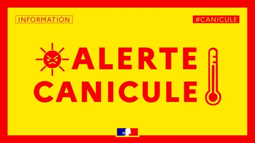 Canicule historique en France : jusqu’à 43°C attendus et nuits tropicales toute la semaine