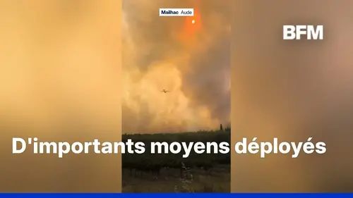 Incendies dans le Sud : 800 hectares déjà ravagés par le Feu entre Hérault et Aude