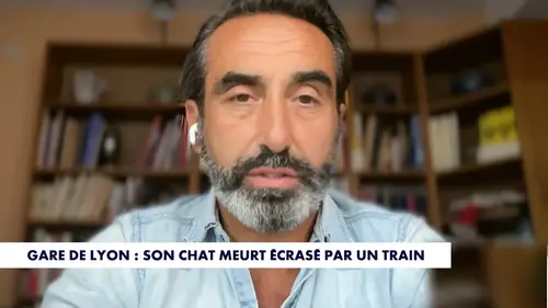 Le chat d’Olivier Benkemoun décapité par un train, sa vive colère contre la SNCF