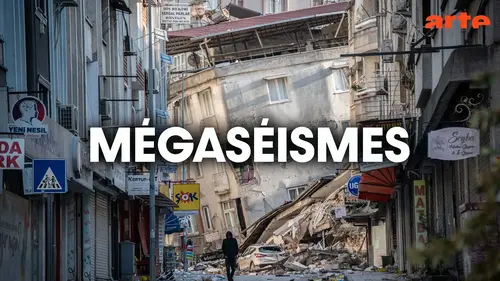 Mégaséismes sur Arte : comment se préparer aux tremblements de terre les plus puissants ?