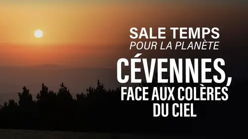 Les Cévennes sont-elles prêtes à affronter des pluies toujours plus violentes ?