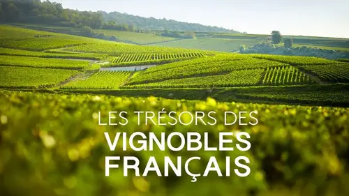 Pétrus, Romanée-Conti, Dom Pérignon : les plus prestigieux vignobles français dévoilent leurs secrets
