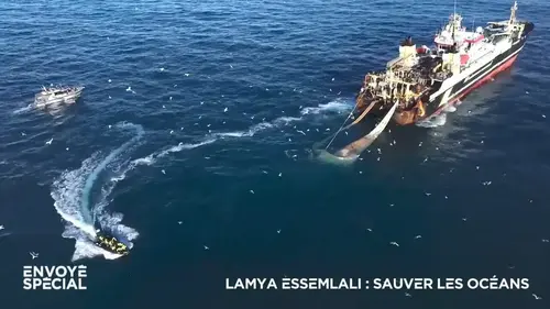 Programme TV jeudi 2 mai 2024 : Attraction, Envoyé Spécial, OM / Atalanta, Y'a que la vérité qui compte...