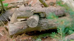 Visuel de Nick Groff : en terrain hanté