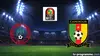 Nigeria / Cameroun Football Coupe d'Afrique des nations 2019