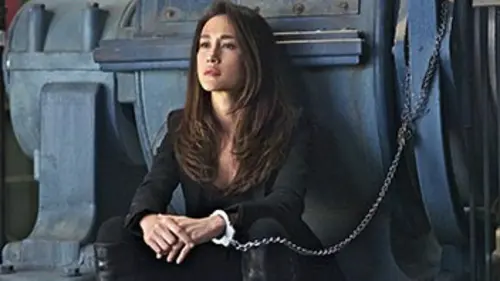 Nikita S03E17 Bas les masques