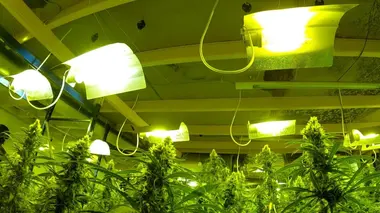 Niveau 4 : Bruxelles-Midi