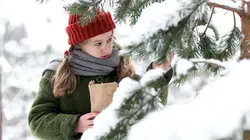 Noël dans la forêt de la chouette