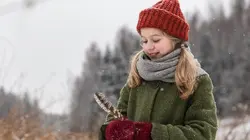 Noël dans la forêt de la chouette