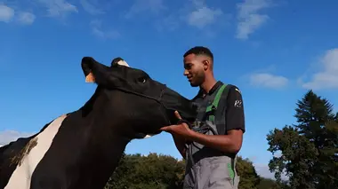 Nolan - devenir éleveur en Bretagne, la génération d'après