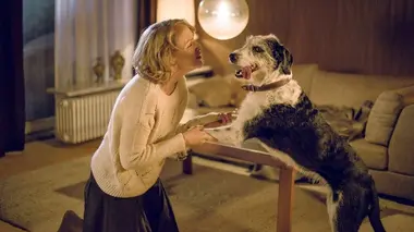Nom d'un chien