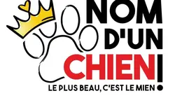 Nom d'un chien ! Le plus beau c'est le mien
