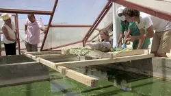 Nomade des mers, les escales de l'innovation Madagascar, Tuléar