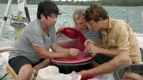 Nomade des mers, les escales de l'innovation Thaïlande, Phuket