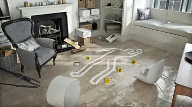 Affaire Thierry Chauvineau