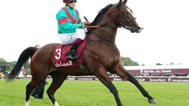 Noozhoh, le dernier conquistador