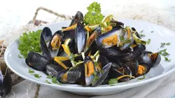 Norbert, commis d'office