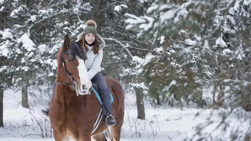 Nordik Chili : Araucanie