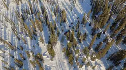 Northwoods Survival  Survie en terre sauvage