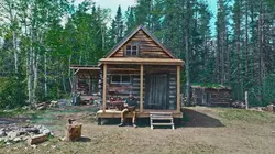 Visuel de Northwoods Survival
