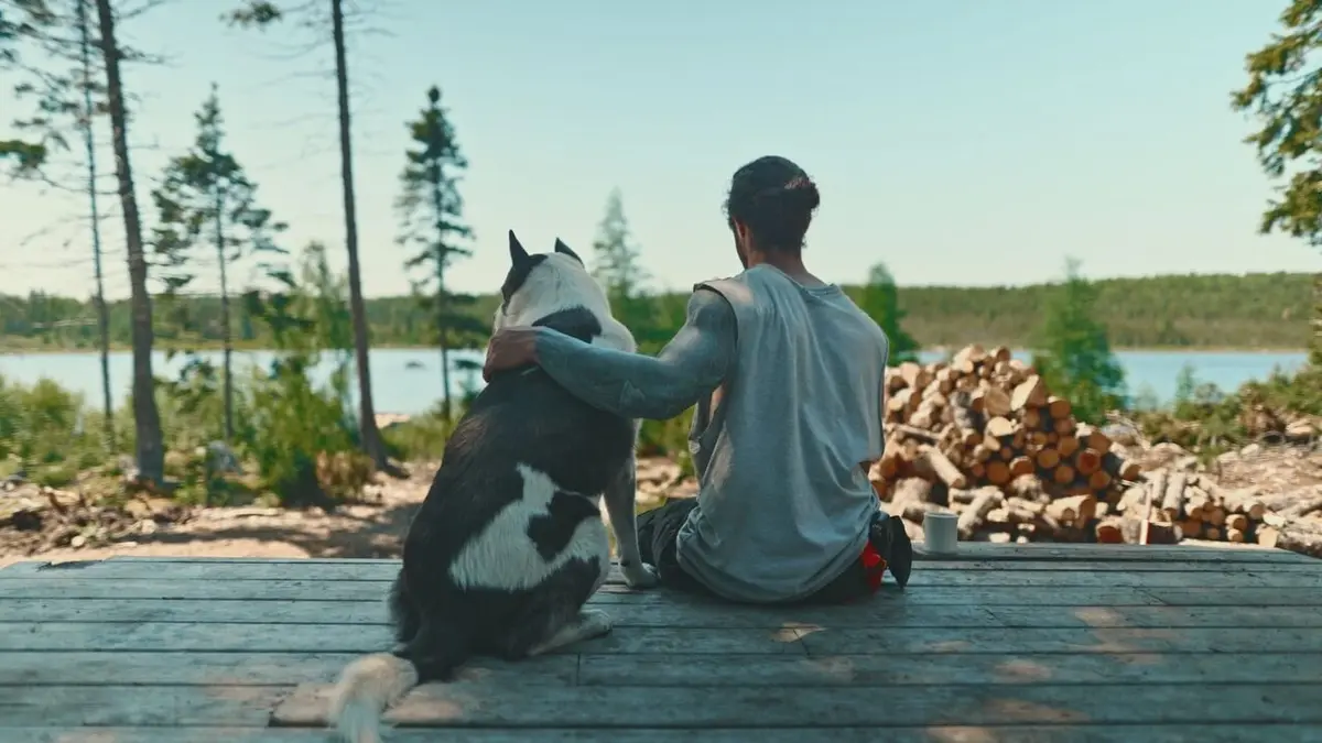 Visuel de Northwoods Survival Survie en terre sauvage