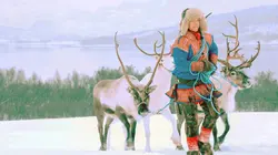 Norvège : Kvaloya, l'île aux rennes