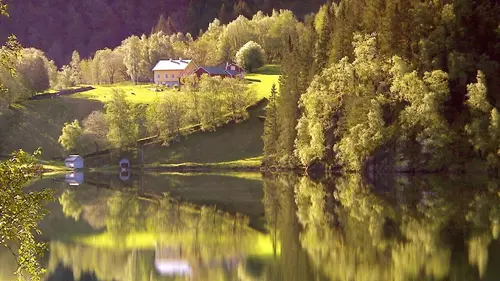 Norvège : le bois, une affaire de femmes