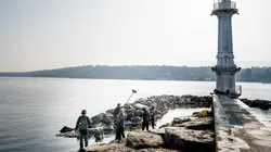 Nos amis sauvages Dans l'ombre du silure