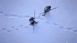 Nos ancêtres les hominidés