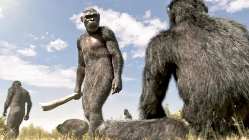 Nos ancêtres les hominidés