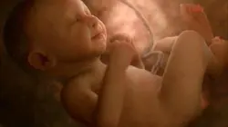 Nos bébés ont une histoire